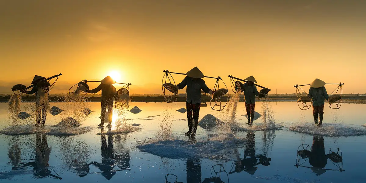 Salt farmers at sunrise in Vietnam, showcasing the cultural depth of the best places to visit in Vietnam