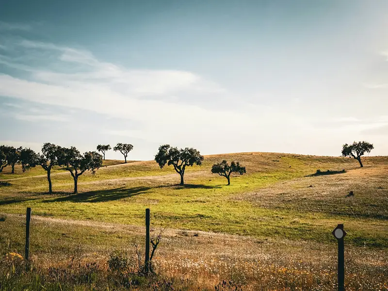 Landscape view of hills and fields in the Alentejo region