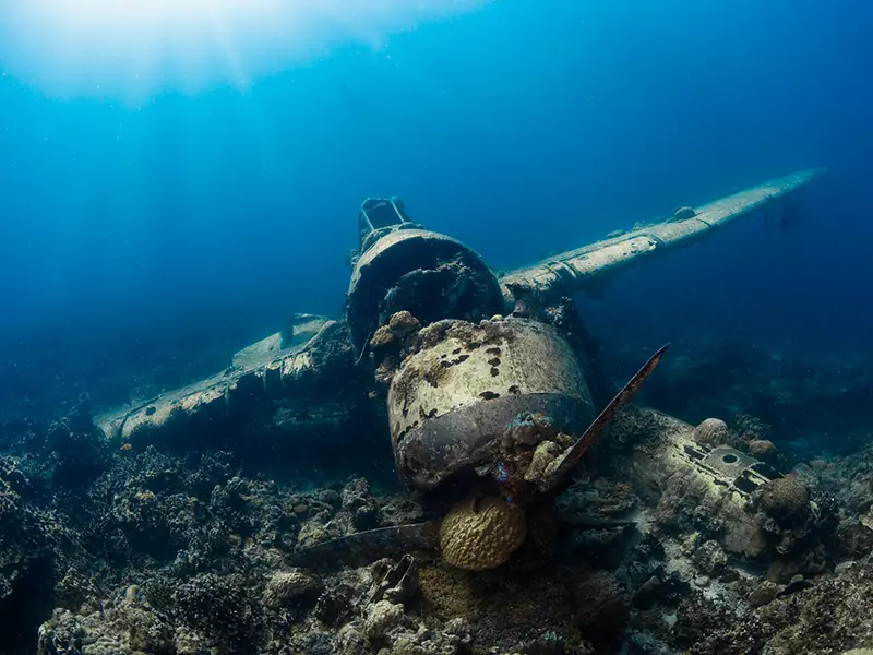 Diving near a submerged plane wreck, a marine eco-tourism site