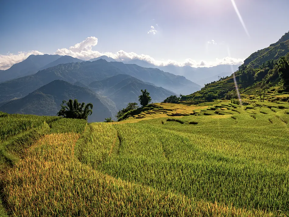 Sunlit rice fields and mountain ridges in Y Ty, a remote highland area ideal for off the beaten path adventures in Northern Vietnam