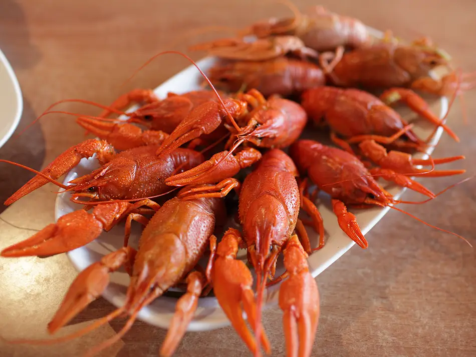 Boiled red crayfish piled on a white plate, a lakeside specialty of Sevan.