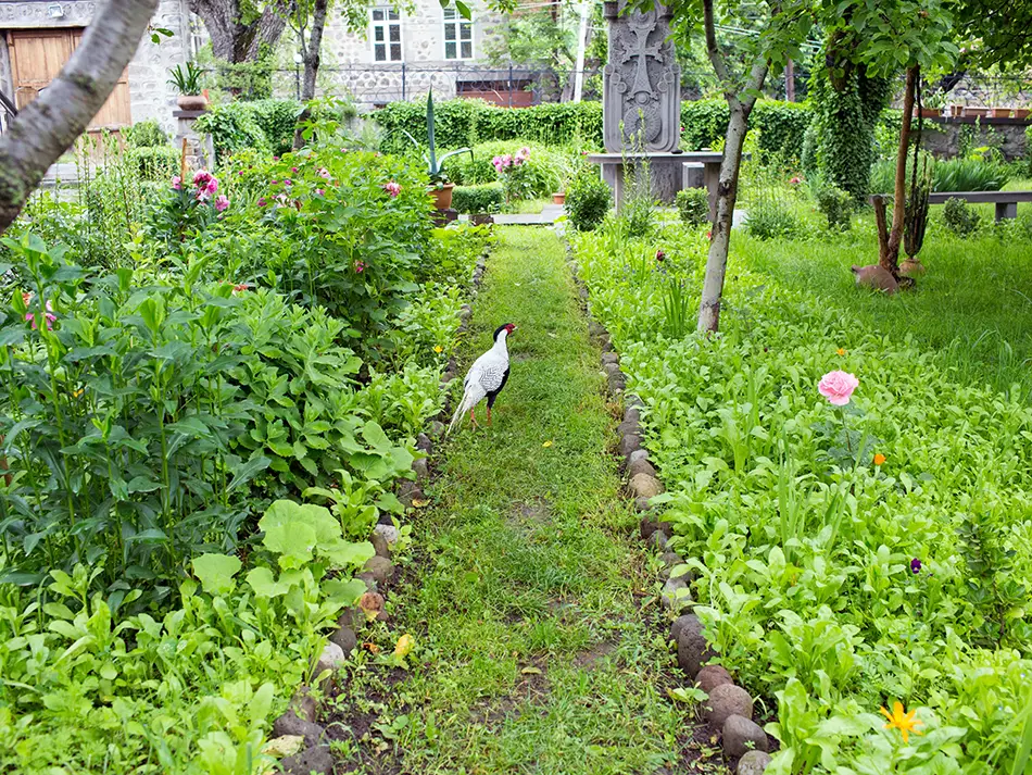 Garden path at the Axel Bakunts House-Museum