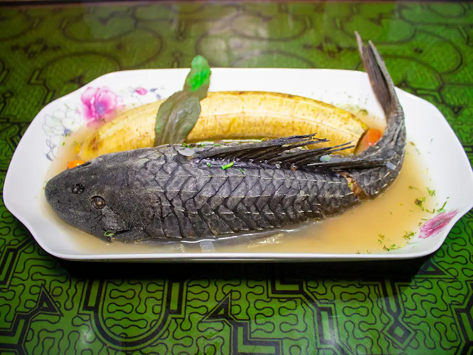 Caldo de carachama from Iquitos, typical Peru food, with river fish, herbs and yucca.