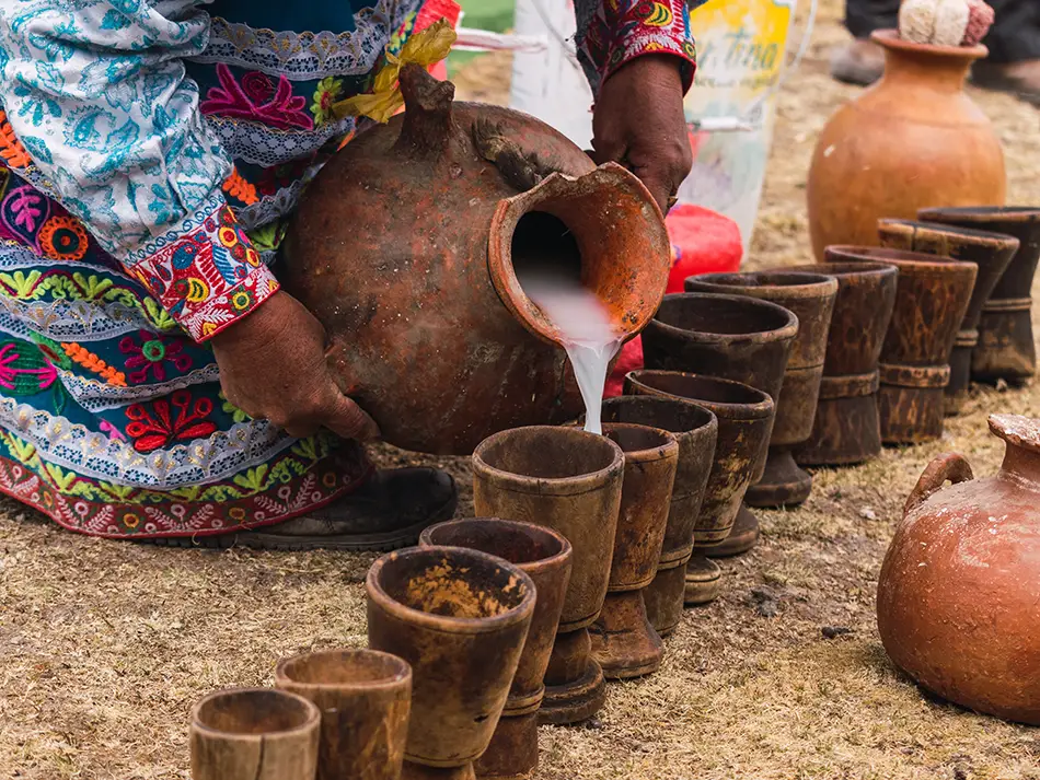 Chicha de jora — among iconic beverages of Ecuador — is poured into rows of clay cups.