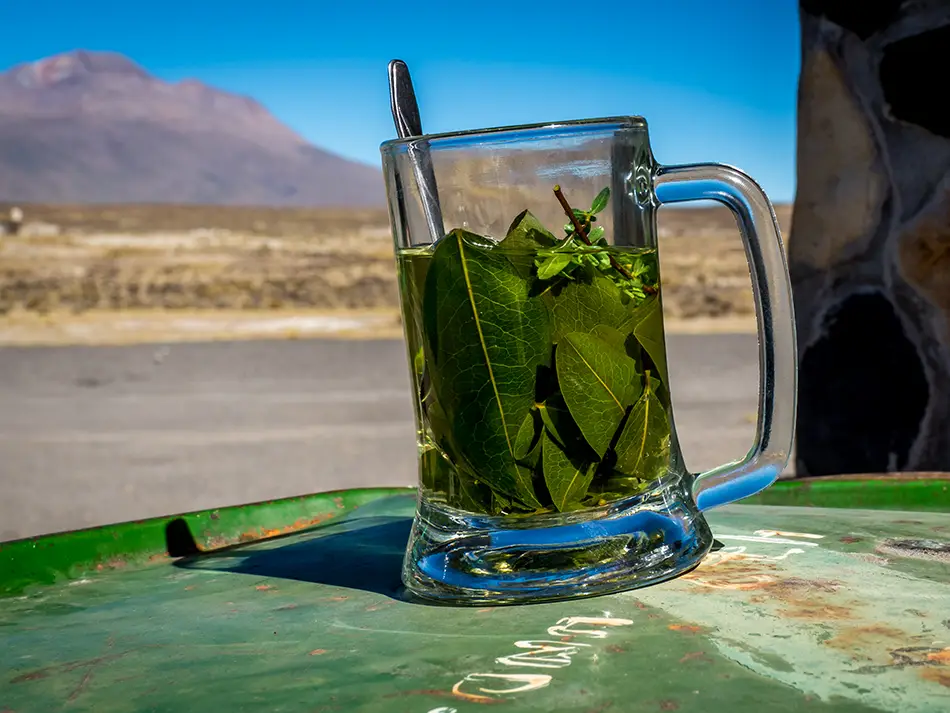 Clear teacup of mate de coca, must-try drink in Peru, with floating leaves in Cusco.