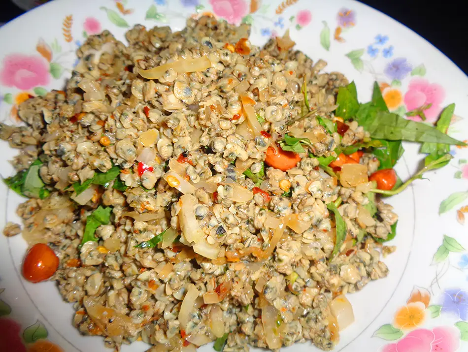 Cơm hến rice topped with clams, peanuts and crispy pork skin — traditional Vietnamese dish