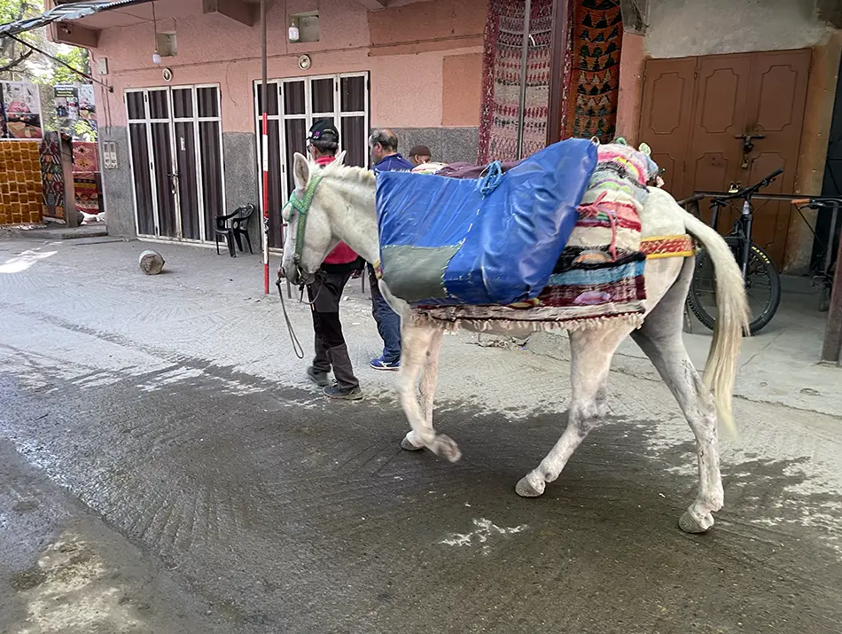 Pack donkey loaded with goods waits on a narrow village lane.