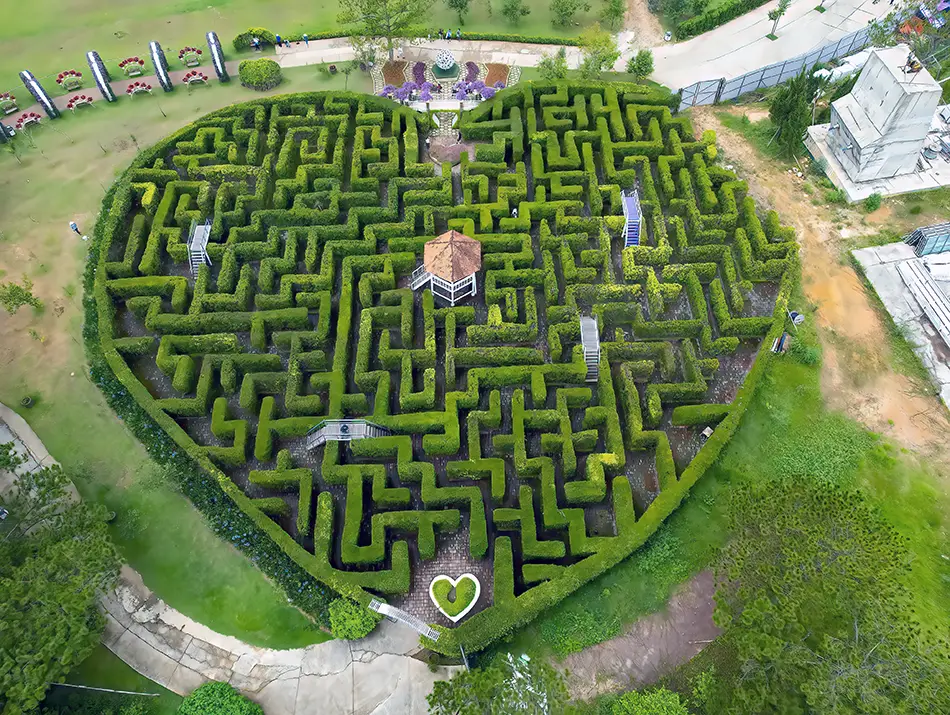 Aerial view of a heart-shaped hedge maze inside the Valley of Love park. Best places to visit in Dalat for couples