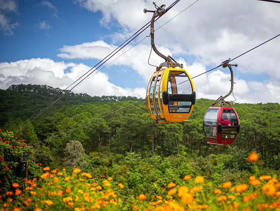 Cable cars gliding above bright flower fields and pine-covered hills, a scenic ride listed under best activities in Dalat.