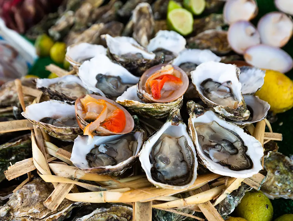 Oysters - best food to try in Oualidia