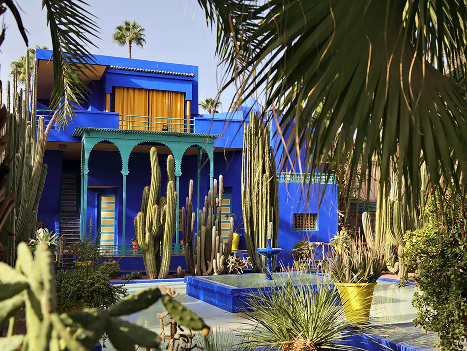 Inside of Jardin-Majorelle