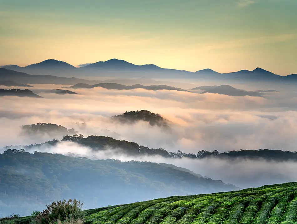 Beautiful mountain panorama showing why cloud hunting is a popular activity in Dalat.