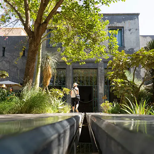 Low-angle view of visitors walking in the Secret Garden of Marrakesh, Morocco