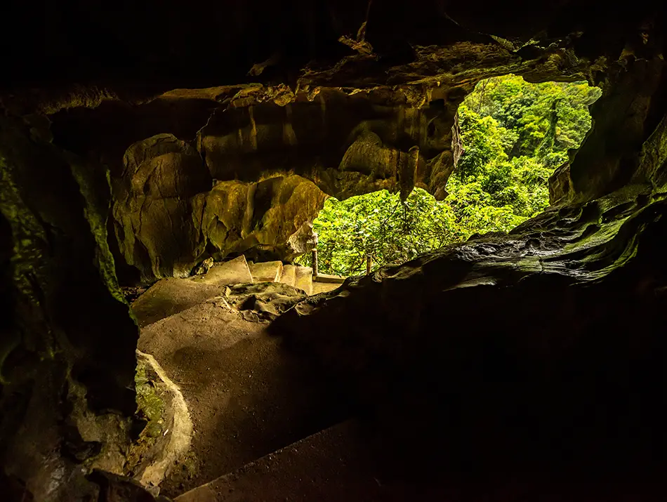 Stalactites and rock formations inside Trung Trang Cave with dramatic lighting.