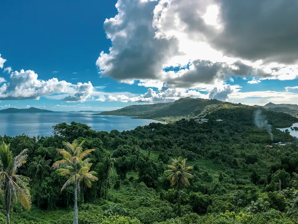 Dense tropical forest meeting calm blue bay under open sky.