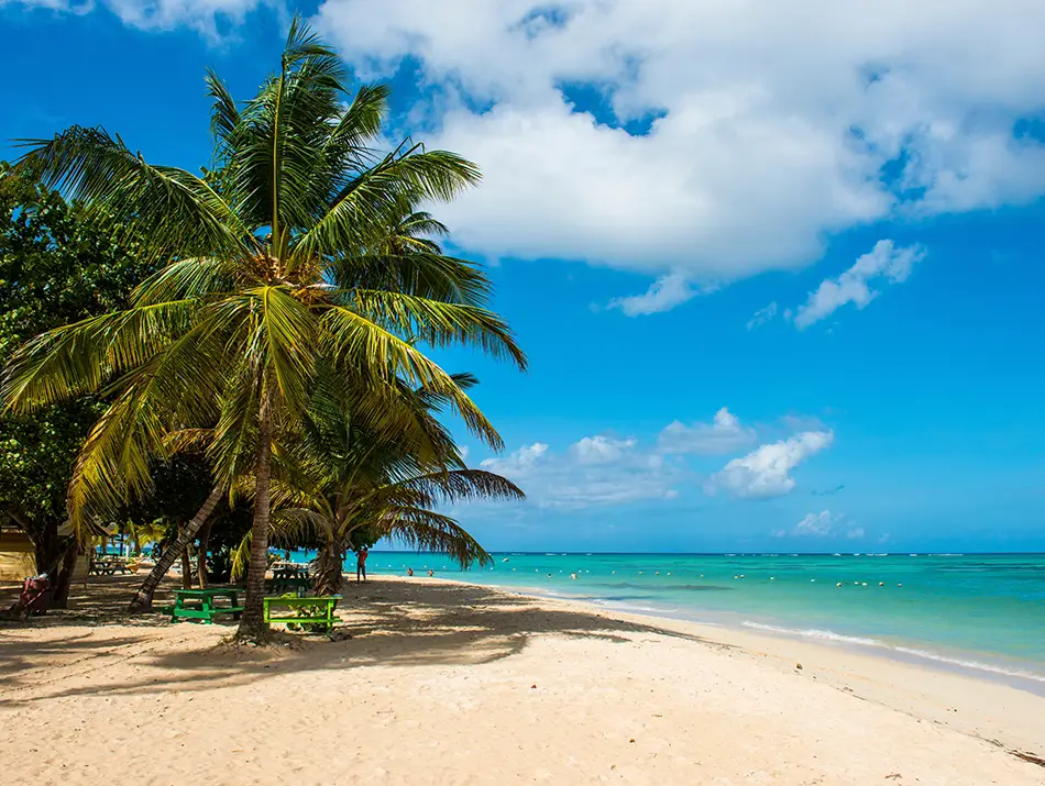 Palm-fringed white sand beach with turquoise sea, a dream travel destination.