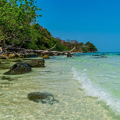 Palm-lined shore with crystal-clear water on Coconut Beach, Koh Rong.
