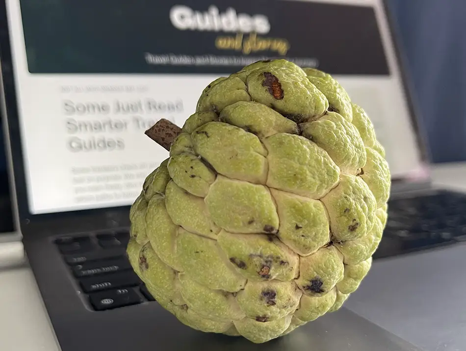A fresh custard apple resting on a laptop keyboard, showing its bumpy green skin and characteristic segments.