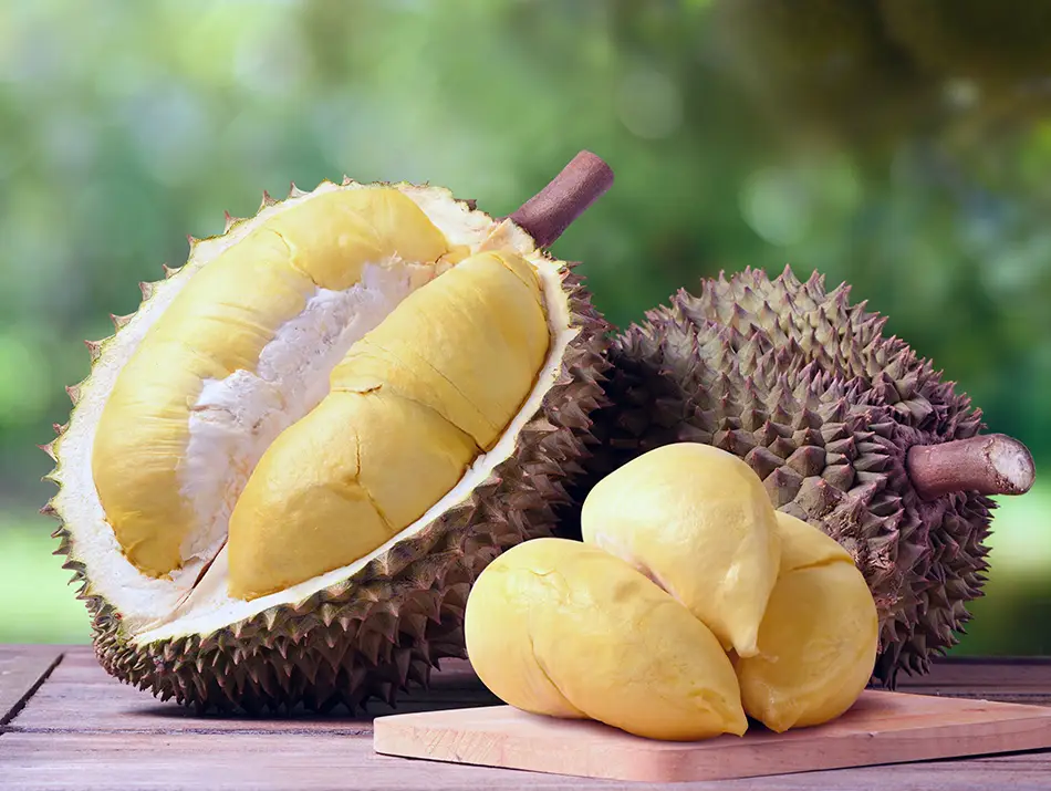 Fresh durian opened to show its creamy yellow flesh, with whole fruits and separated segments on a wooden surface.
