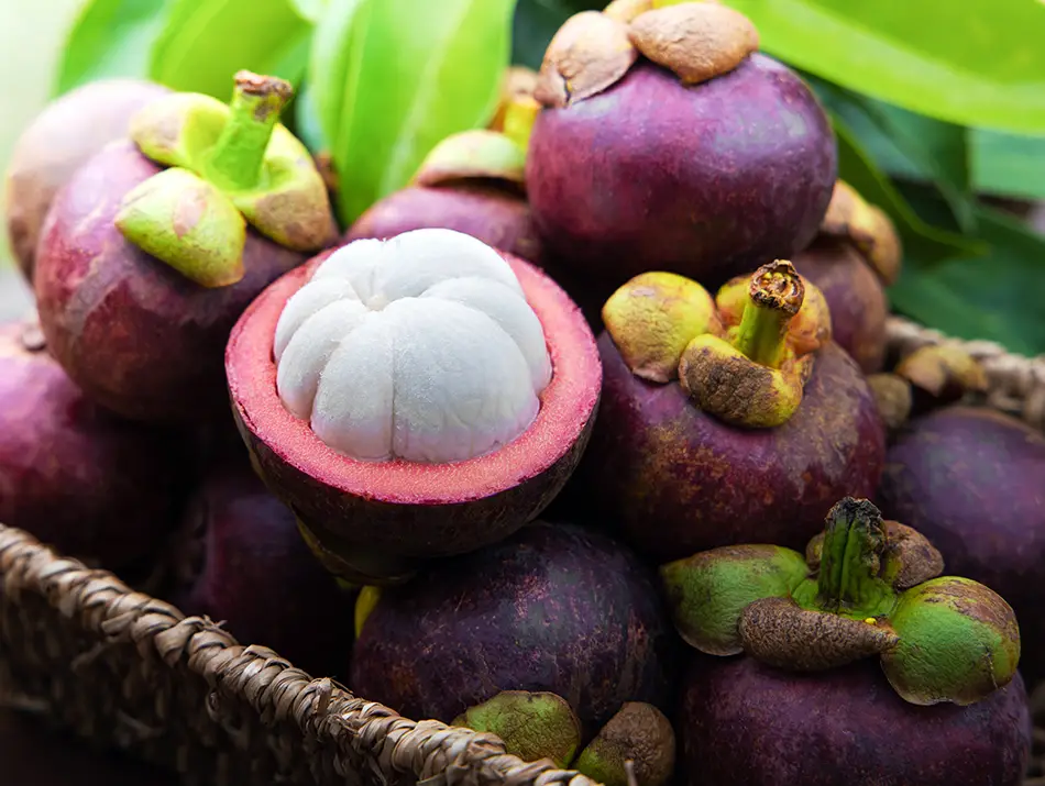 Fresh mangosteens in a basket with one fruit cut open to show its soft white segments.