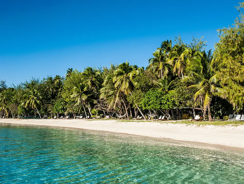 A quiet palm-lined beach on Nanuya Lailai Island, Fiji, known for eco-conscious island stays.