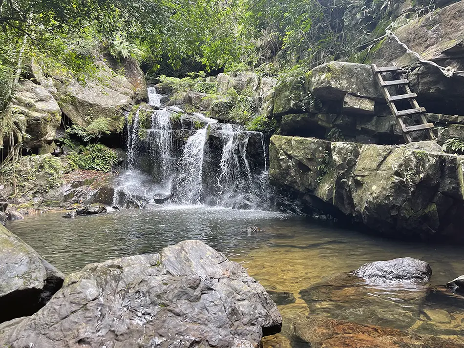 A small waterfall cascades into a clear pool