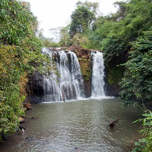 Jungle waterfall tumbling into a rocky pool