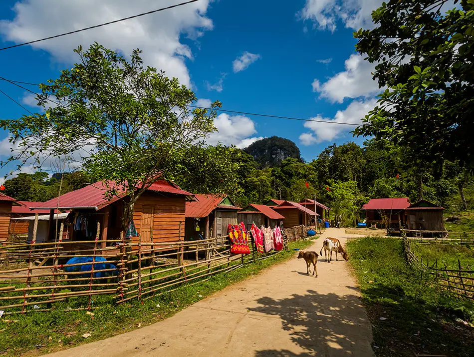 A dirt path lined with wooden houses reflects the kind of rural scenery often highlighted in a Phong Nha travel guide.