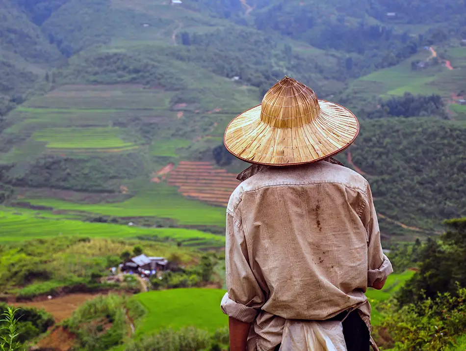 A farmer stands overlooking terraced hills along a scenic Sapa off the beaten Path route.