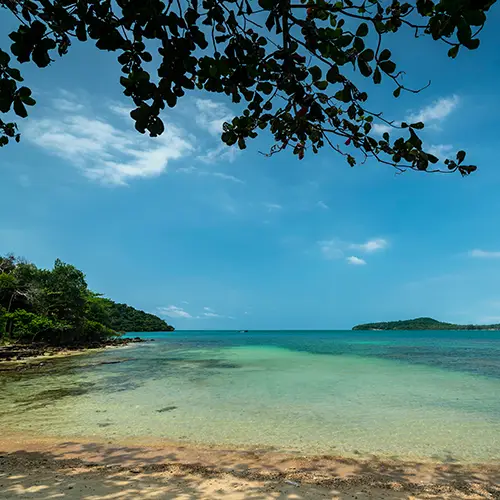 Tree-lined coast with turquoise waves on Koh Ta Kiev.