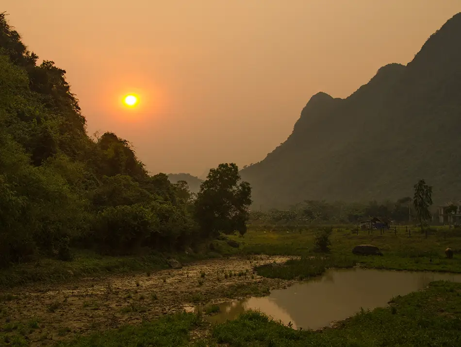 Sunset light warms the rice fields and surrounding hills with soft reflections in a small pond.