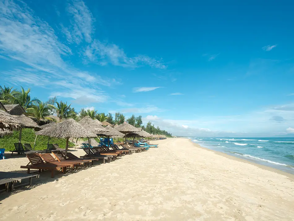 Palm-lined sand and gentle waves invite relaxed swimming and sunbathing along a wide shoreline.