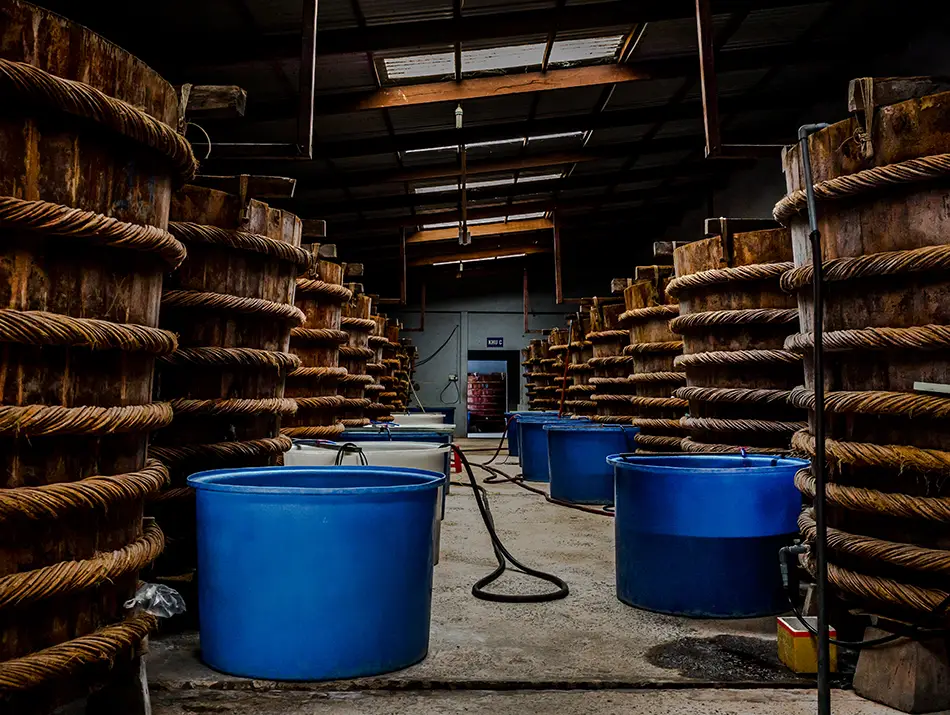 Large blue barrels stacked in rows inside a traditional fish sauce production facility.