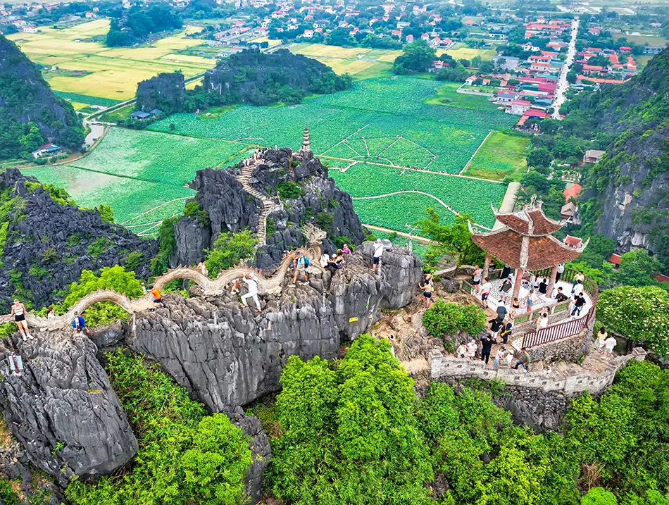 Aerial view of a karst pagoda complex surrounded by bright green rice fields.