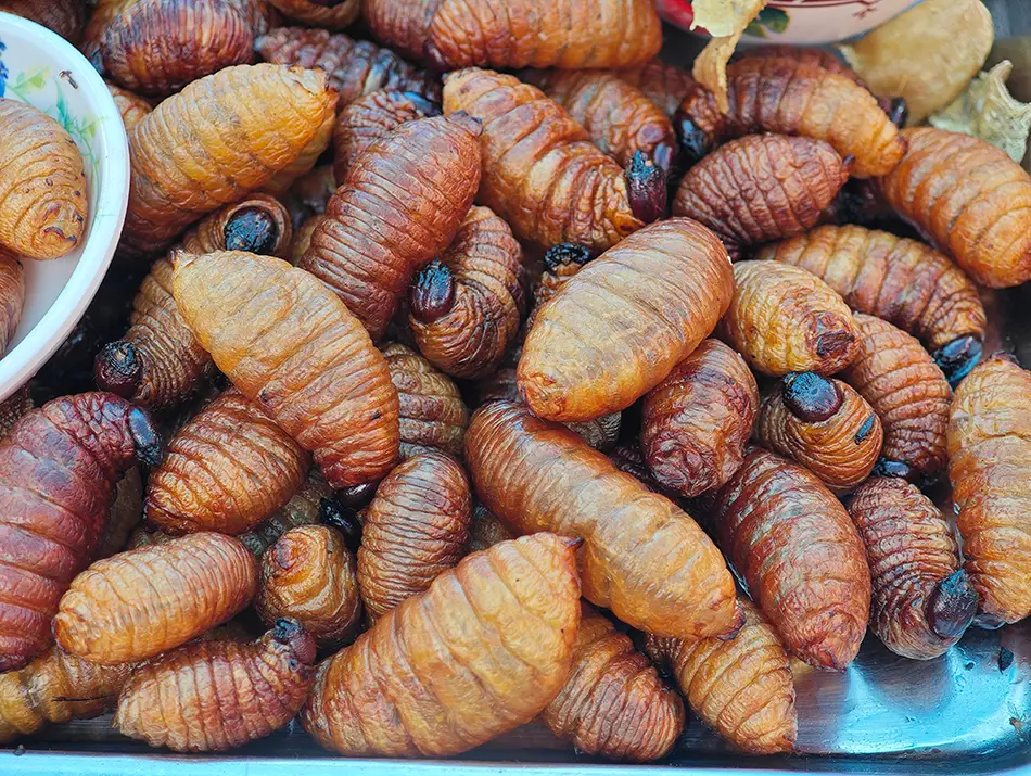 Fried palm larvae piled together with golden crispy skins and rich texture.