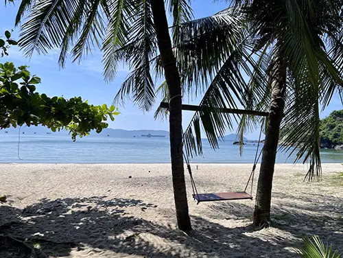 A quiet sandy beach lined with coconut trees on the Son Tra Peninsula.