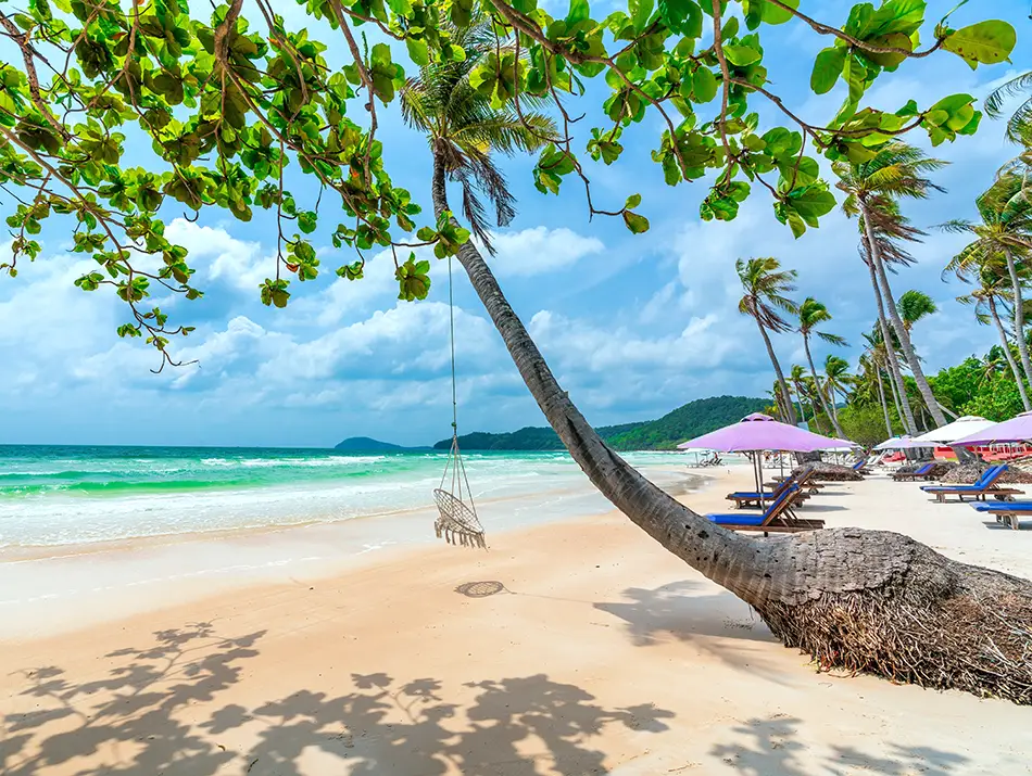 Sunny beach with palm-hung swings and sun loungers, answering the question of whether Phu Quoc Island is worth visiting