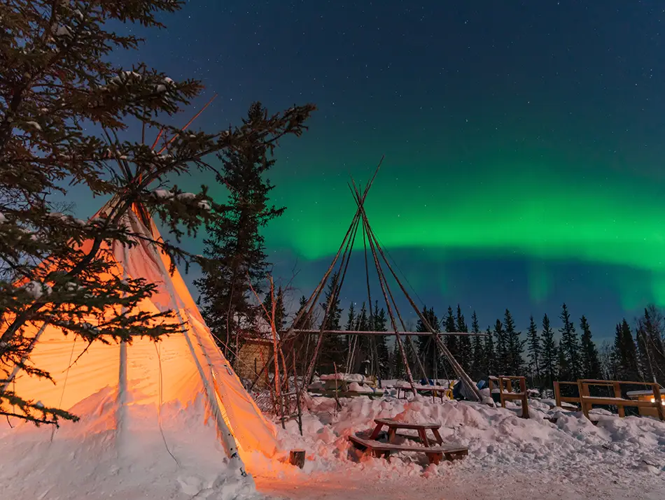 Vivid aurora arcs over frozen trees near Yellowknife show where to see the Northern Lights.