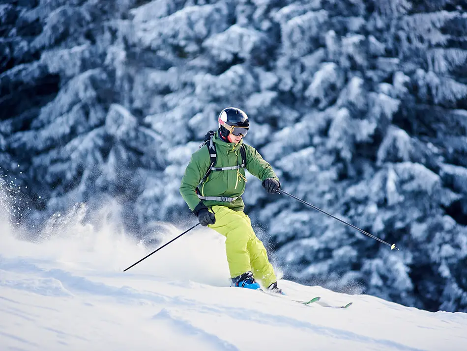 Tree-lined run with a skier cutting through soft snow beside frosted evergreens.
