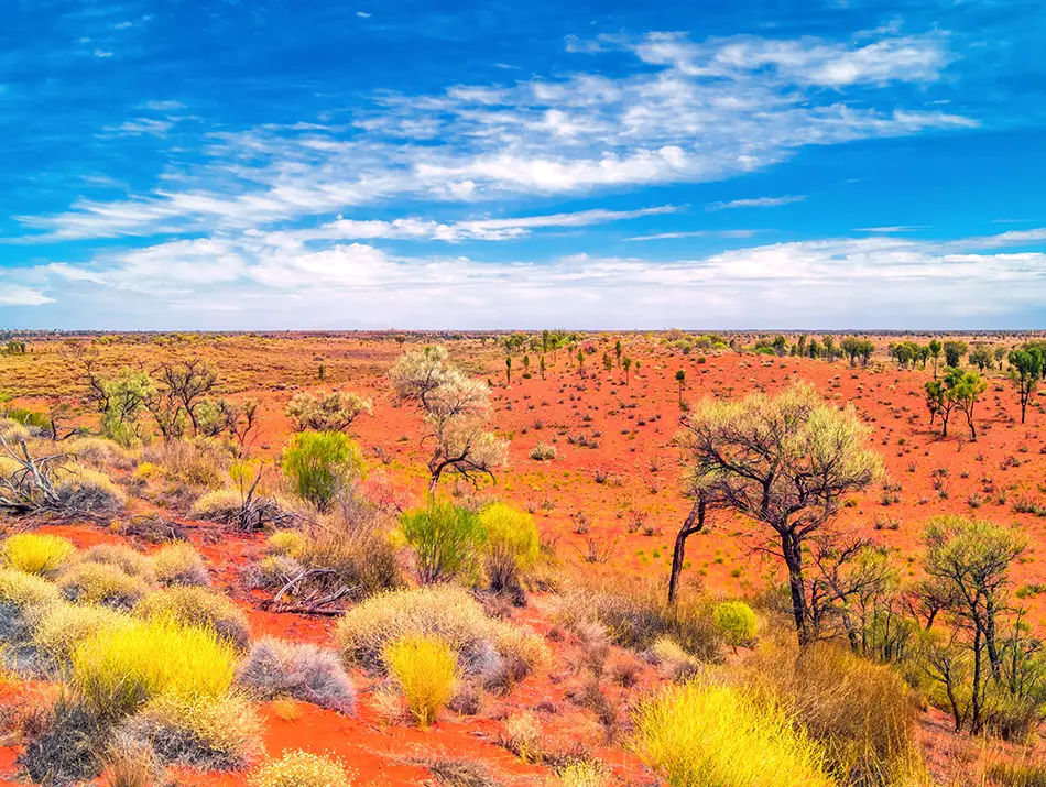Red outback scrubland in Australia