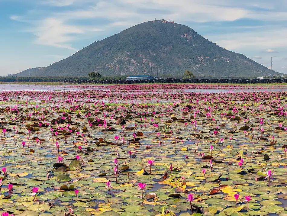 A solitary mountain rises above flat plains under a hazy afternoon sky.