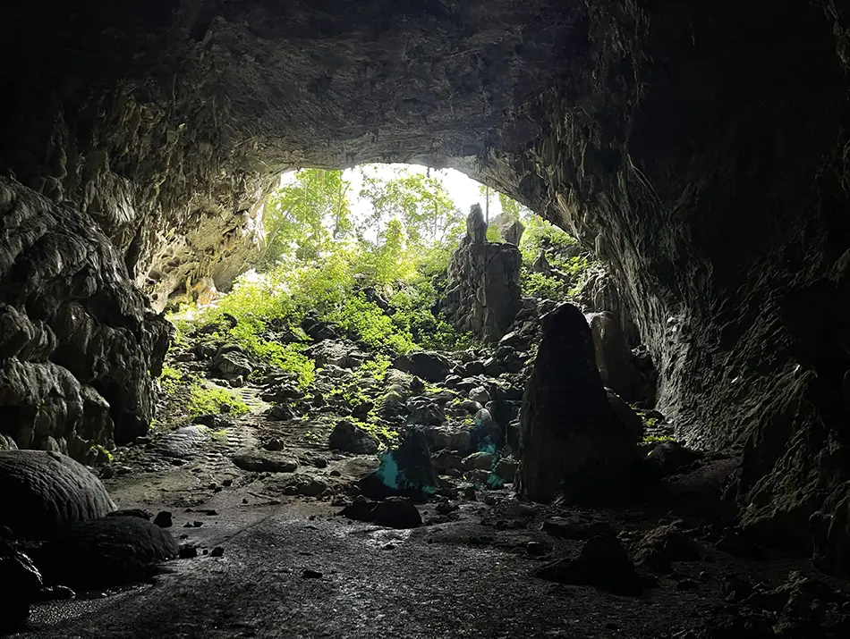 Sunlight pours into a limestone cave entrance with boulders and lush plants.