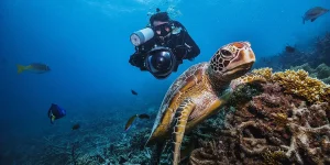 Scuba diver photographing a sea turtle on a coral reef at one of the new scuba destinations for 2026.