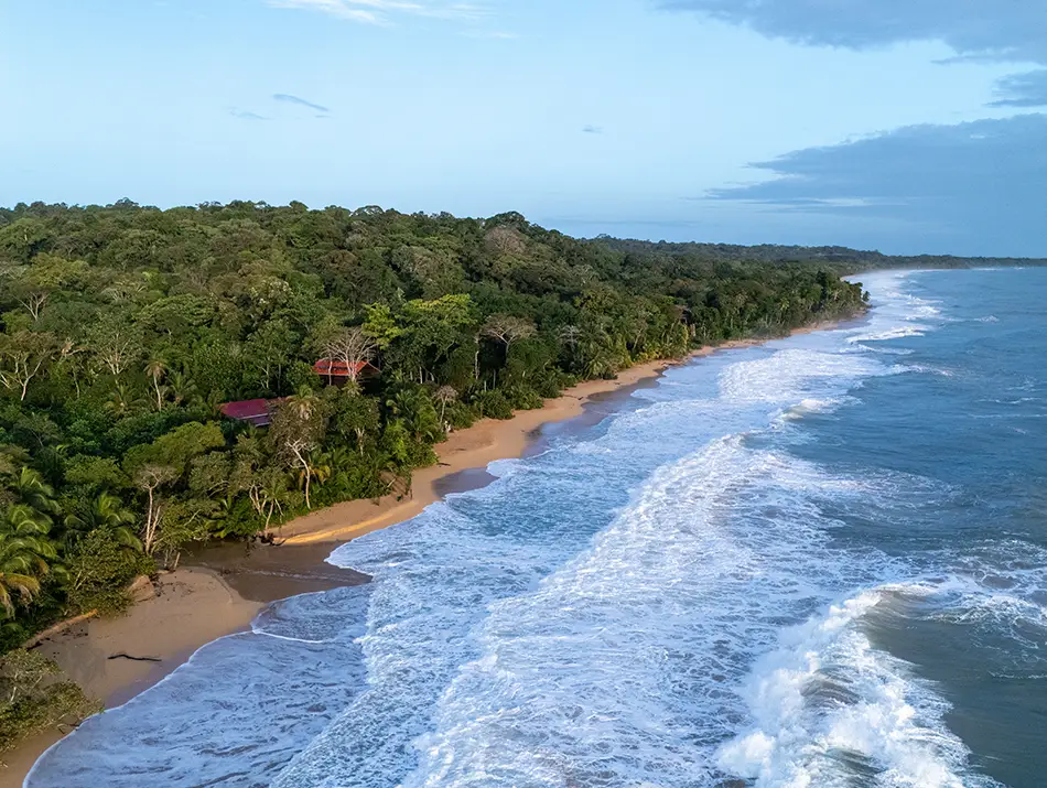 Palm-lined Isla Colón coastline in Bocas del Toro, Panama, with rolling surf.