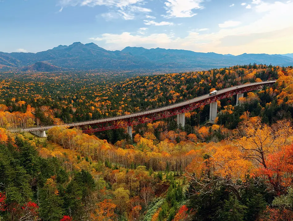 Long bridge crossing autumn forest, a scenic stop on a road-to-trail route.