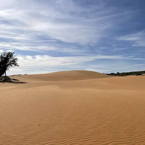 Smooth red sand dune ridge under open sky, shaped by wind and coastal climate.