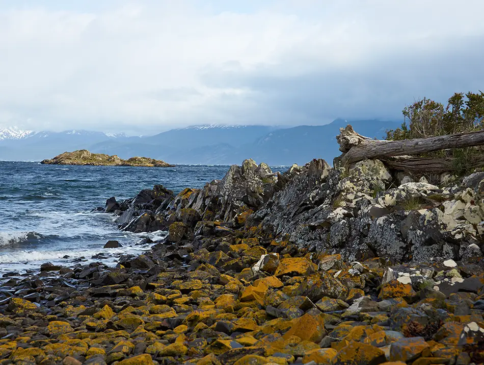 Rocky shore on Navarino Island