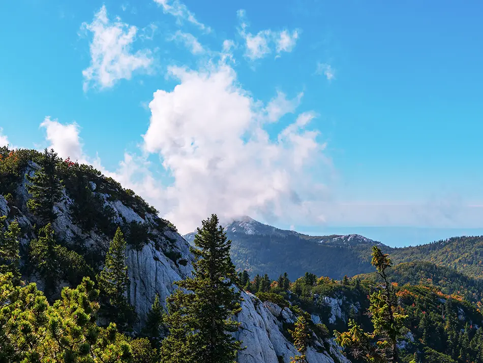 Limestone peaks and pine forest framing a steep ascent on a mountain trail.