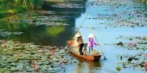 Traditional wooden boat gliding through a lotus-filled river in Vietnam, showing local waterway life and low-impact, nature-based travel.