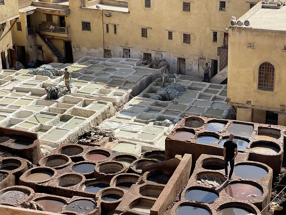 Viewing stone dye vats seen from above at Chouara Tannery, one of the best things to do in Fes